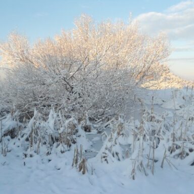 RESTAURANT EL BELLVER LA CALMA DE TAGAMANENT - HIVERN
