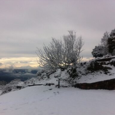 RESTAURANT EL BELLVER LA CALMA DE TAGAMANENT - HIVERN