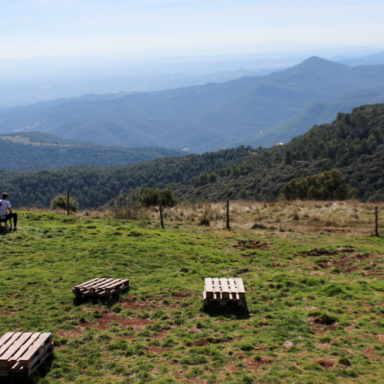 Restaurant La Calma - El Bellver - L'entorn