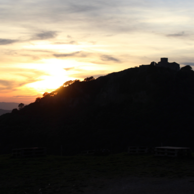 Restaurant La Calma - El Bellver - L'entorn