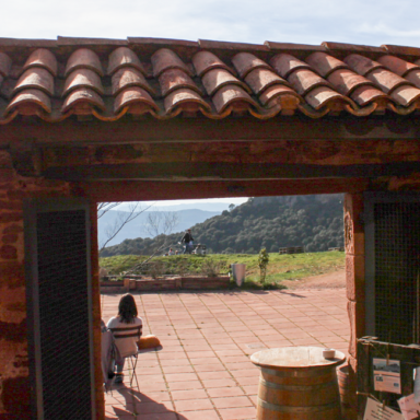 Restaurant La Calma - El Bellver - Terrasseta