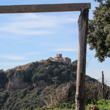 Restaurant La Calma - El Bellver - El nostre entorn